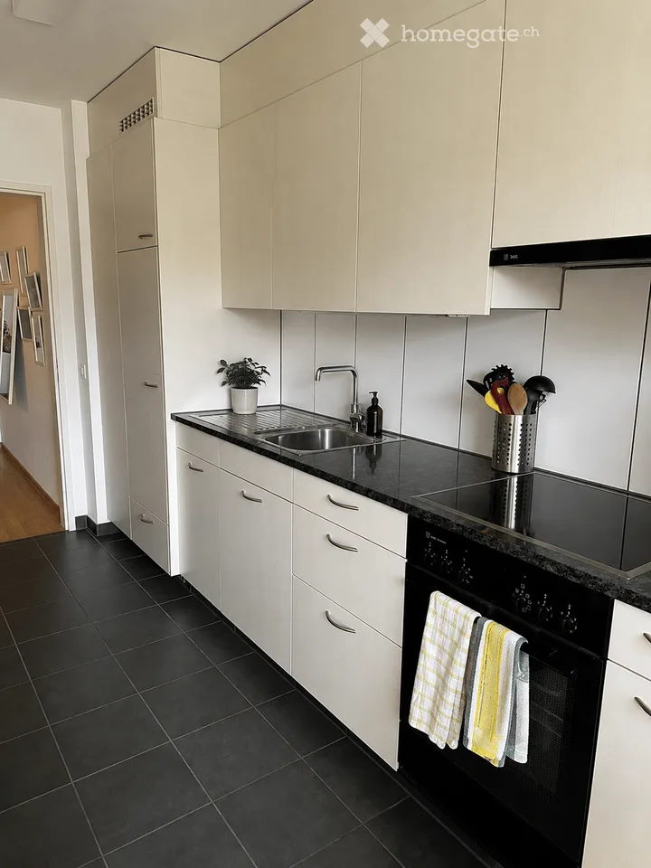 Affittasi appartamento di 2,5 locali con balcone a Dietikon