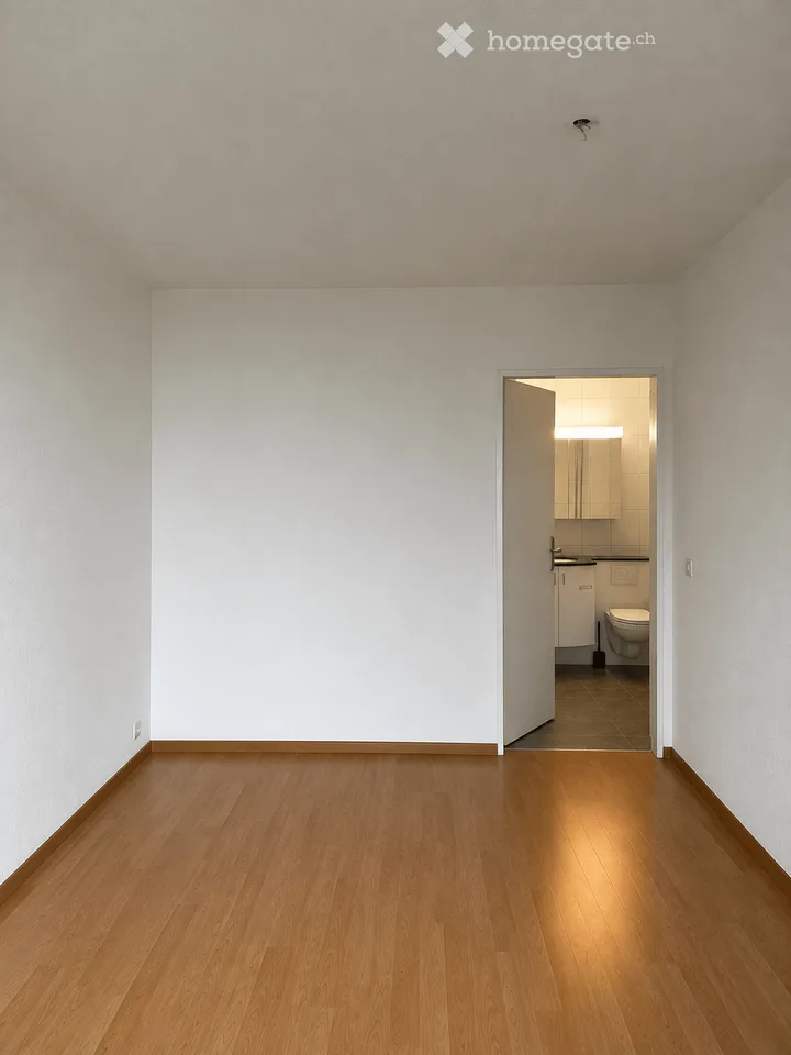 Affittasi appartamento di 2,5 locali con balcone a Dietikon