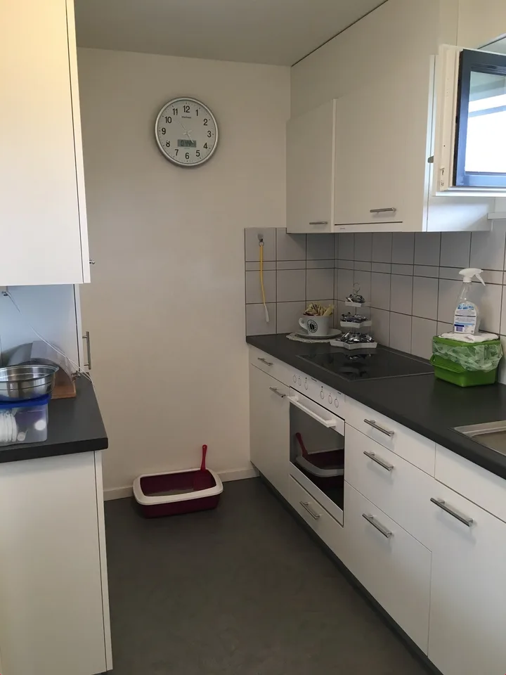Appartement de 3,5 pièces au centre d'Ettingen avec ascenseur