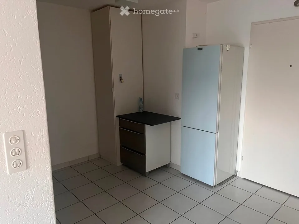 Bello appartamento 2,5 locali in affitto a Dotzigen
