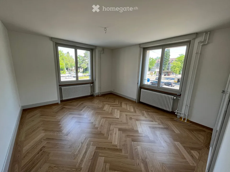 2.5-Room Apartment Renovated Old Building