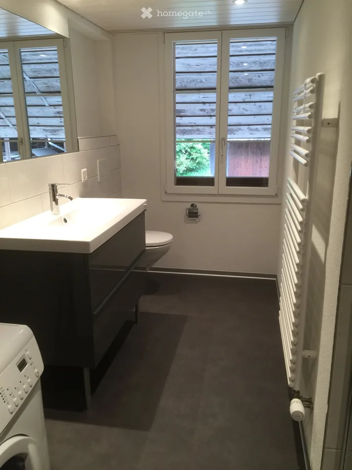 3.5 room apartment for rent