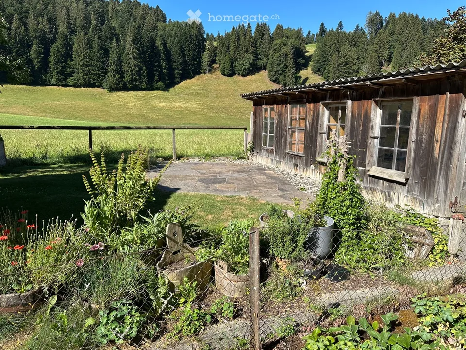 3.5 room apartment for rent