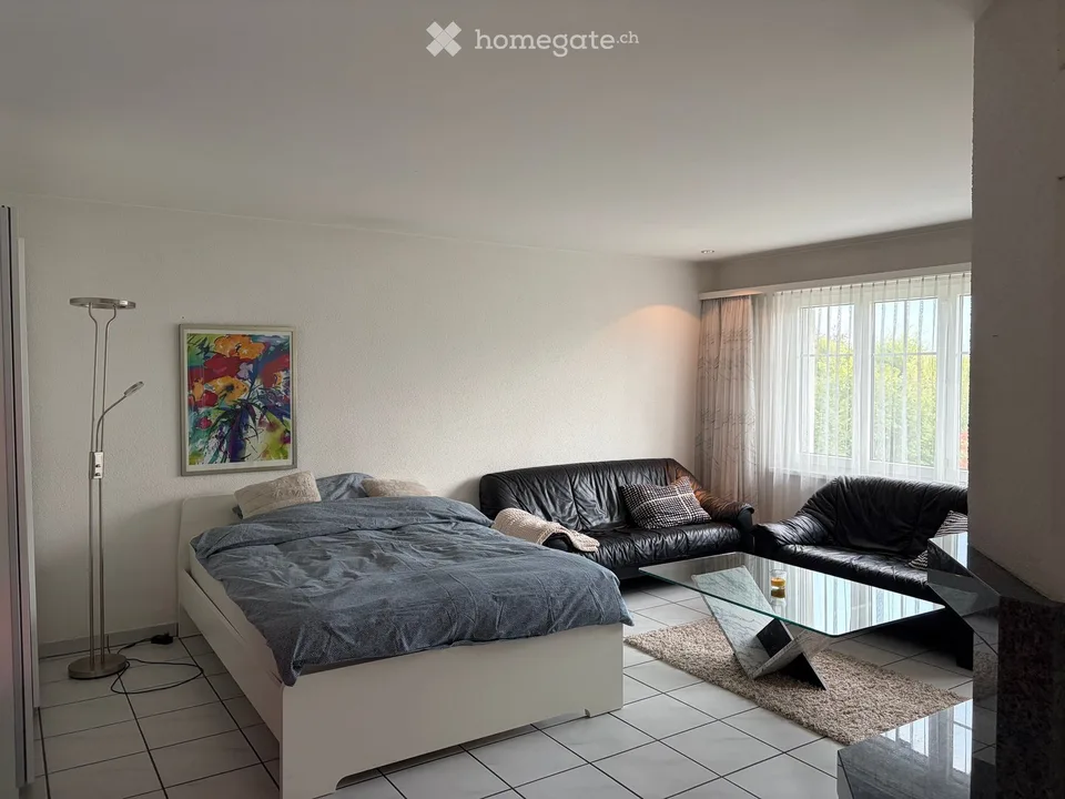Furnished 1 1/2 room apartment in an apartment community with its own seating area.