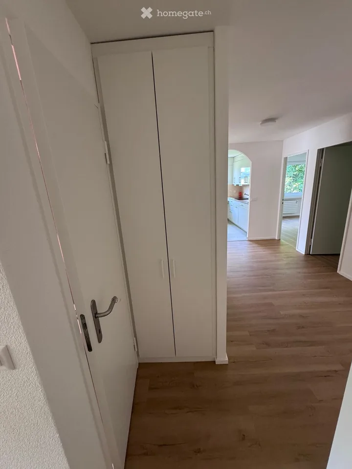 Helle 4.5-Zimmer-Terrassenwohnung  in Rheinfelden