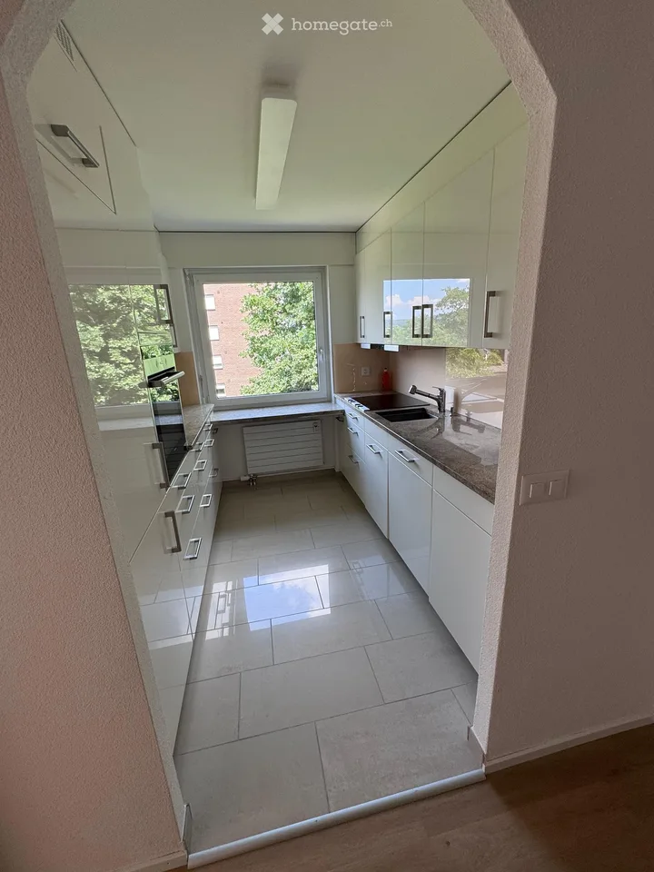 Helle 4.5-Zimmer-Terrassenwohnung  in Rheinfelden