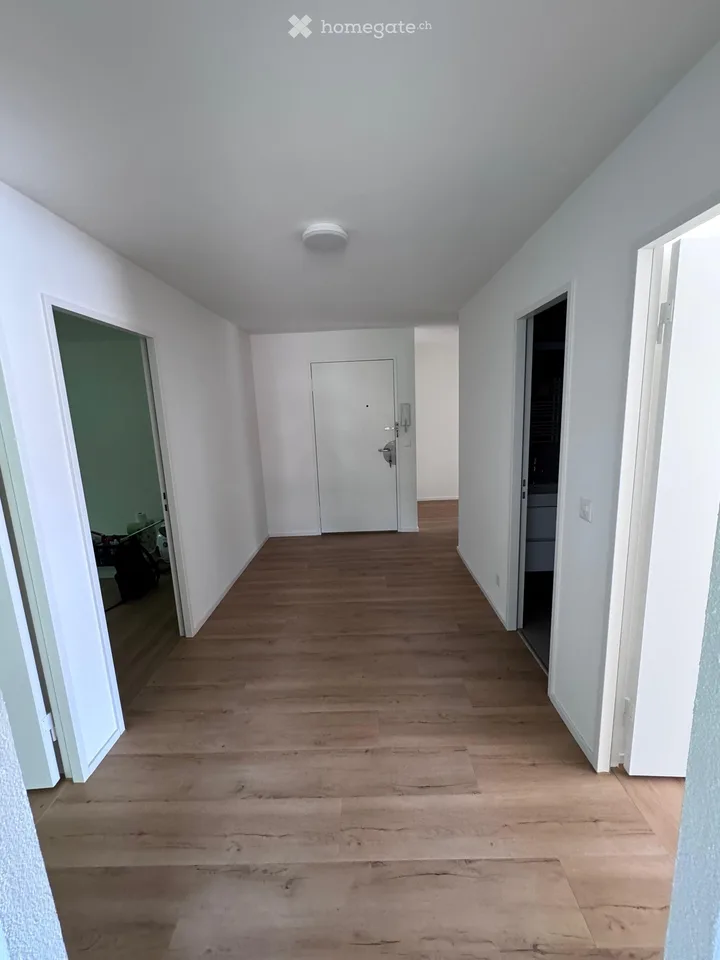 Helle 4.5-Zimmer-Terrassenwohnung  in Rheinfelden