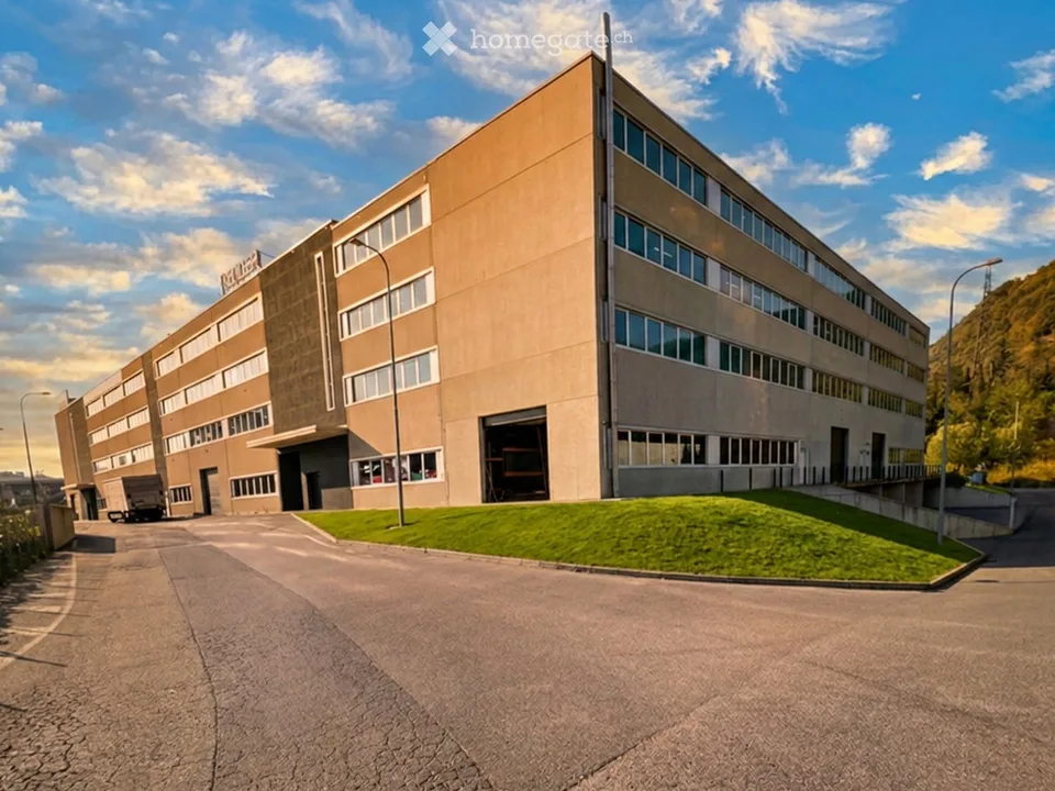 Capannone Industriale in Affitto a Mendrisio – Via Penate 16