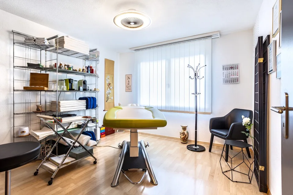 Grande casa unifamiliare in posizione privilegiata con vista sulla valle del Limmat – foto 11 di 13