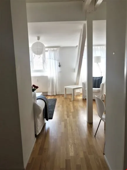 Light renovated very cosy two room apt, own washing facilities