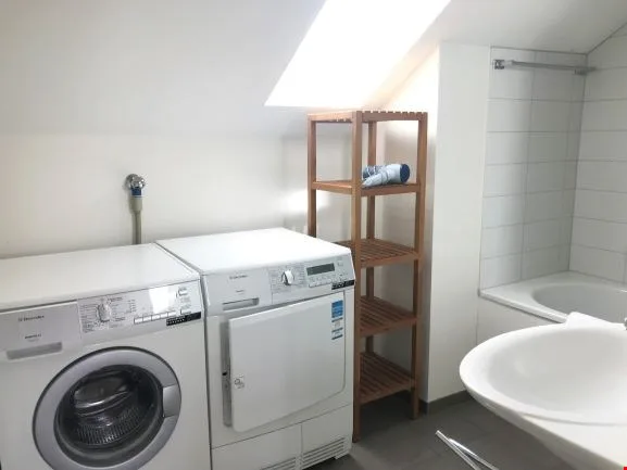 Helles, renoviertes, sehr gemütliches Zweizimmer-Apartment, eigene Waschanlagen – Foto 7 von 7