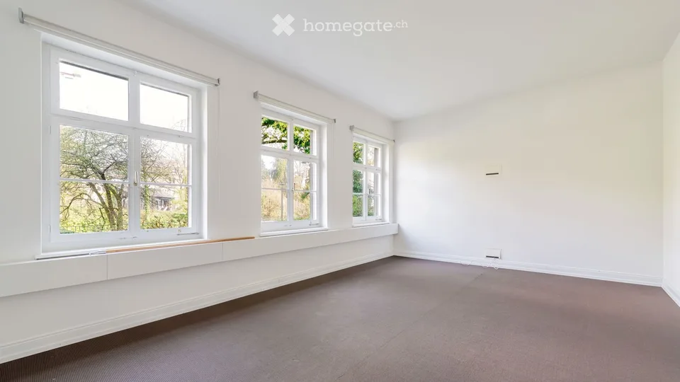 Office space on Schanzengraben with a view of the old botanical garden