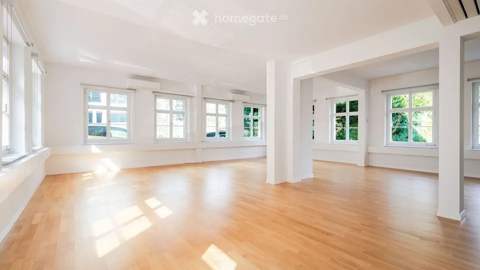 Office space on Schanzengraben with a view of the old botanical garden