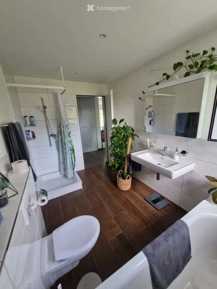 Tolle 2.5 Zimmer Attikawohnung