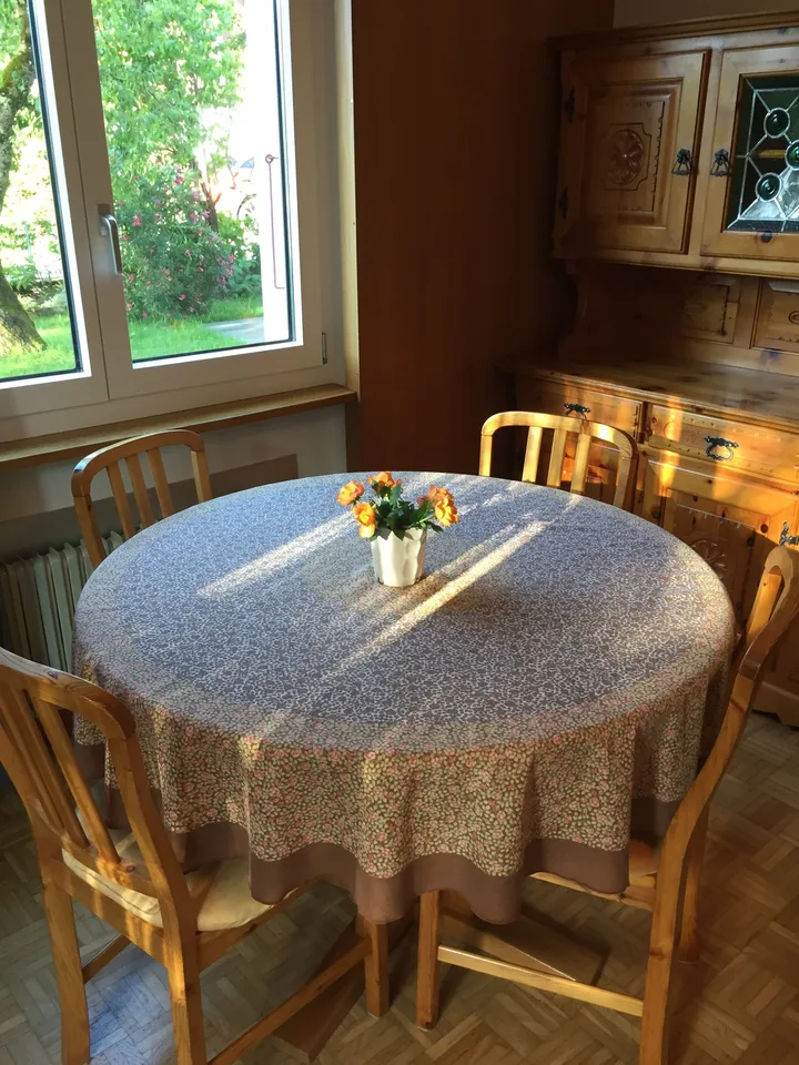 2 ZI-WOHNUNG IN HONDRICH (BE), MÖBLIERT, TEMPORÄR