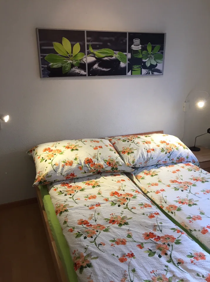 2 ZI-WOHNUNG IN HONDRICH (BE), MÖBLIERT, TEMPORÄR