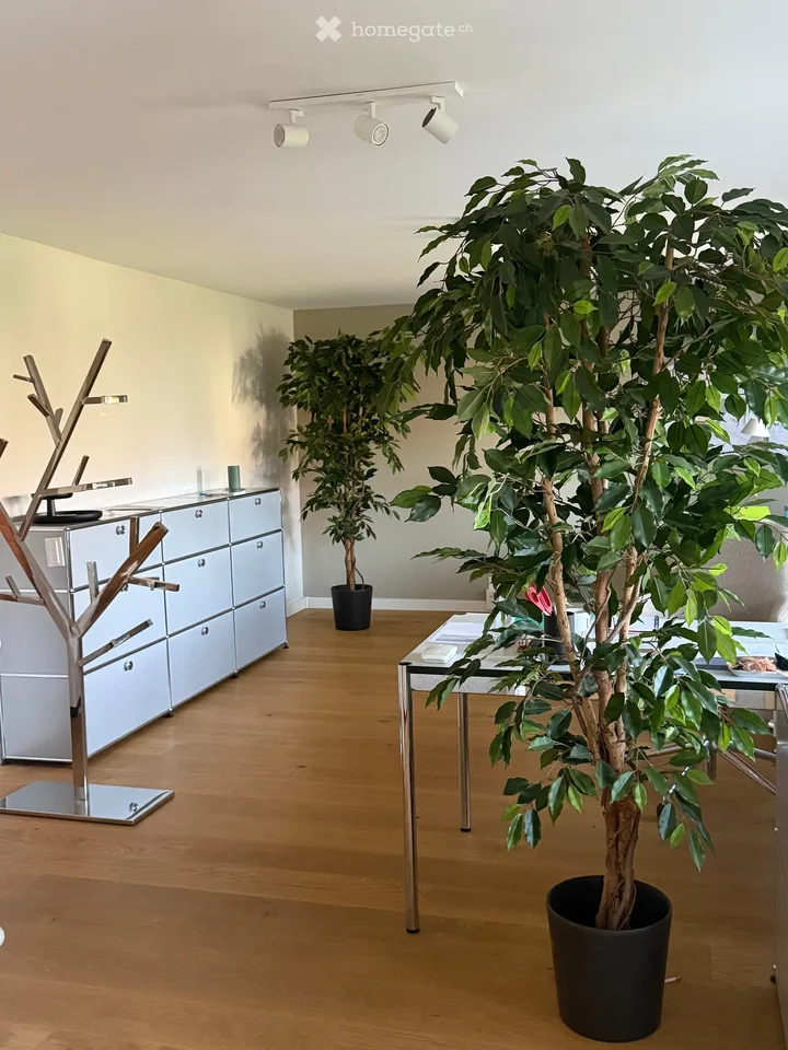 Appartamento affascinante in una casa a schiera a Gwatt (Thun) – Disponibile immediatamente!
