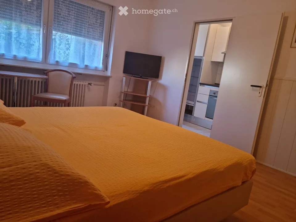 Appartement meublé 1 pièce à Bâle, Sperrstrasse 45