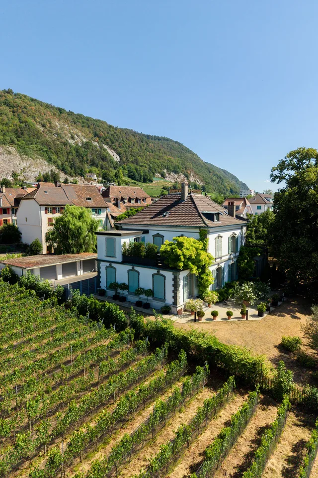 Coming Soon - Villa in the Park near the Lake