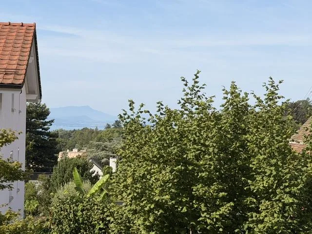 Appartement en viager à quartier Chailly à Lausanne
