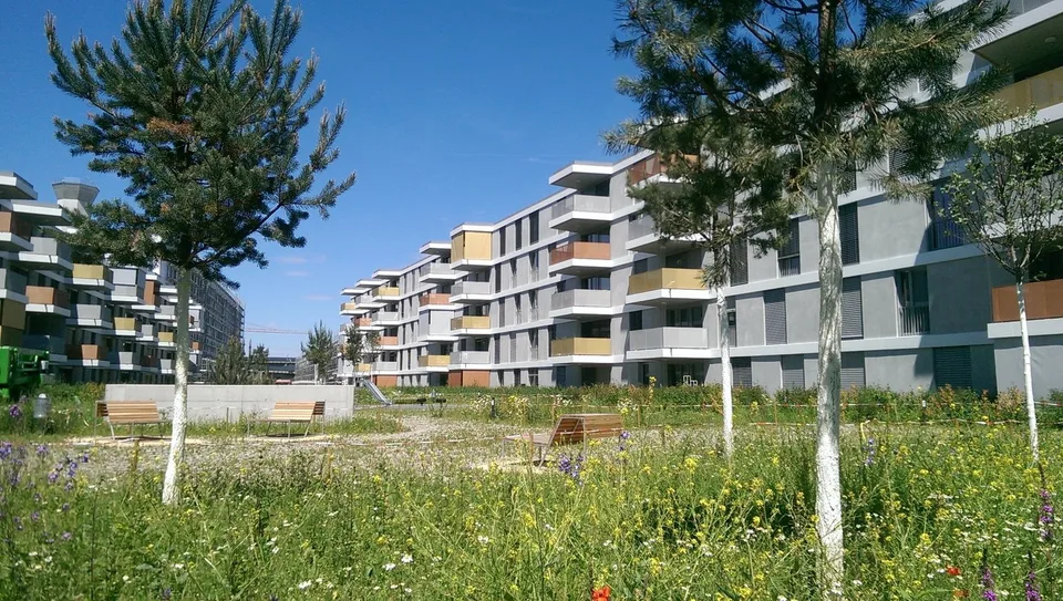 Schöne 3.5 Zimmer-Wohnung zu vermieten