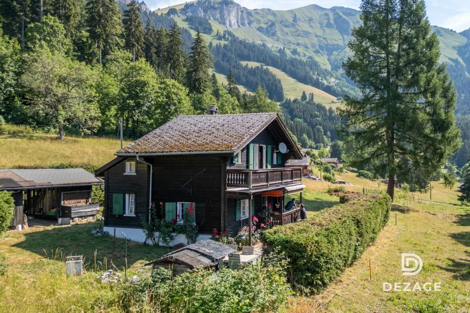 A 35 minutes de Vevey : Charmant chalet de vacances dans un cadre idyllique