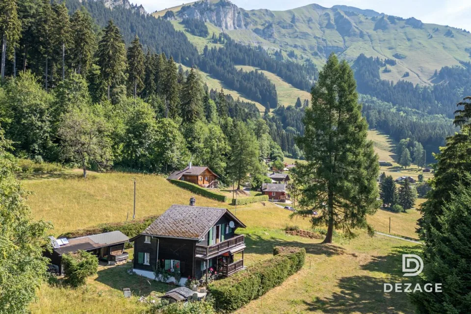 35 minutes from Vevey: Charming holiday chalet in an idyllic setting