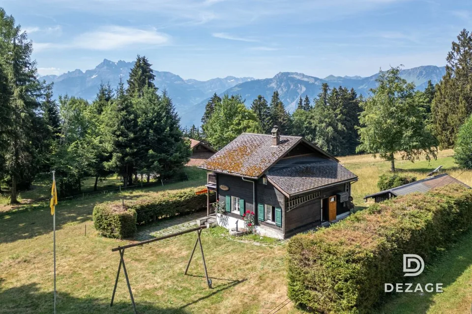 35 minutes from Vevey: Charming holiday chalet in an idyllic setting