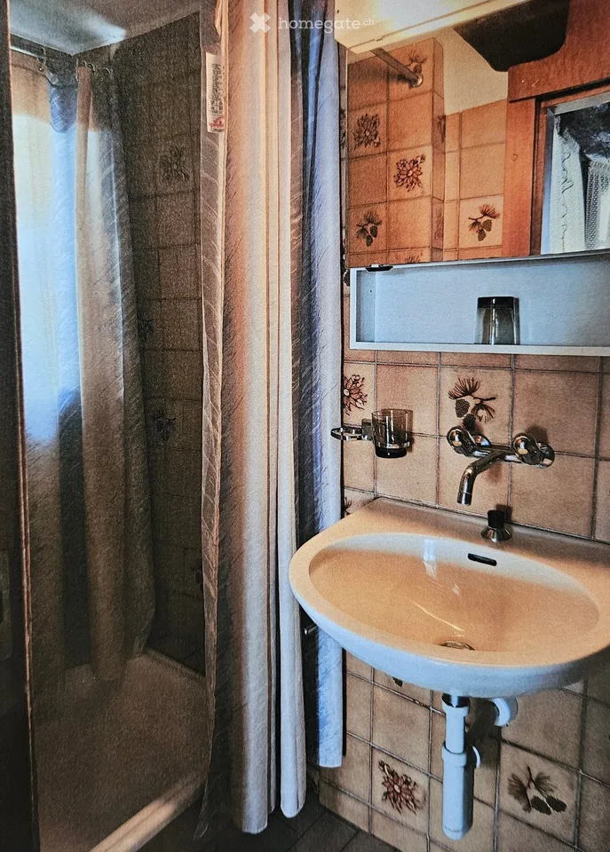 Zu vermieten 1-Zimmer-Wohnung 1/2 in Sierre