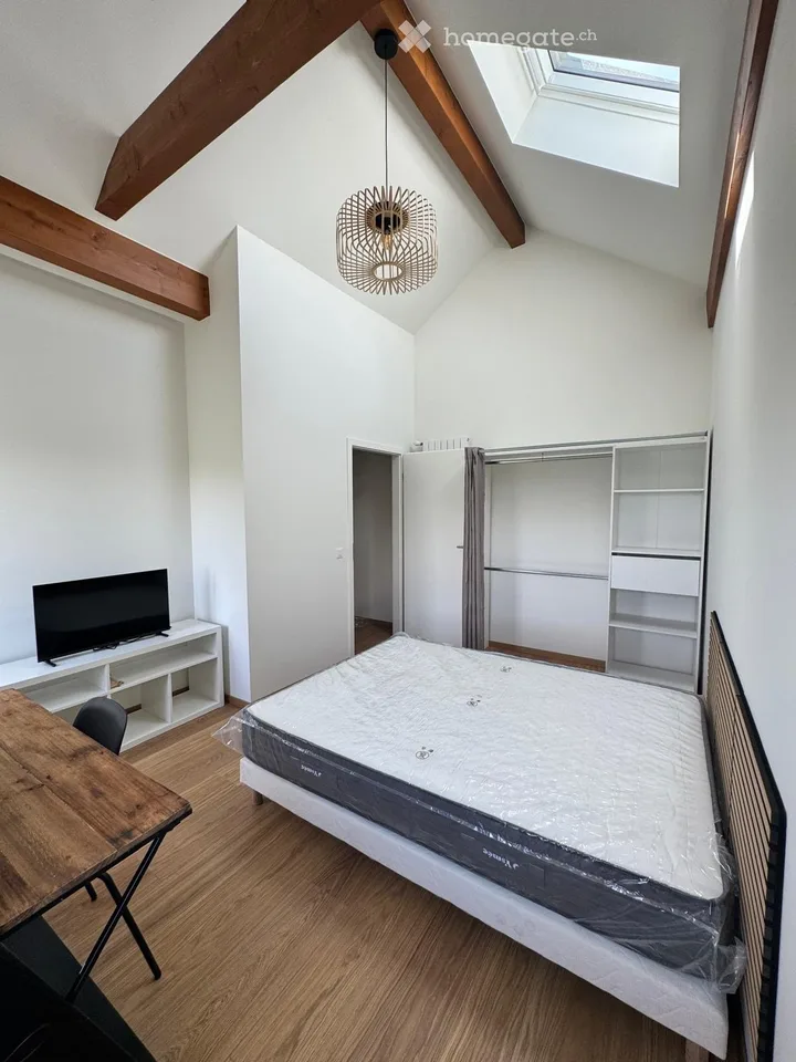 Duplex (2 pièces) meublé à Vésenaz  - Furnished duplex