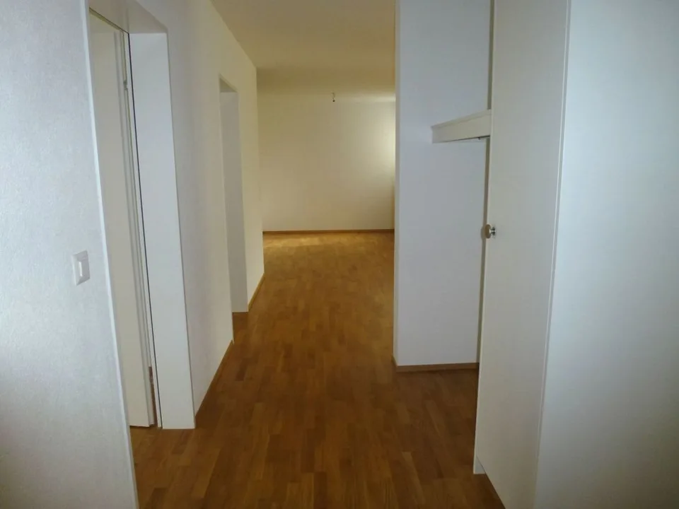 Beautiful bright apartment