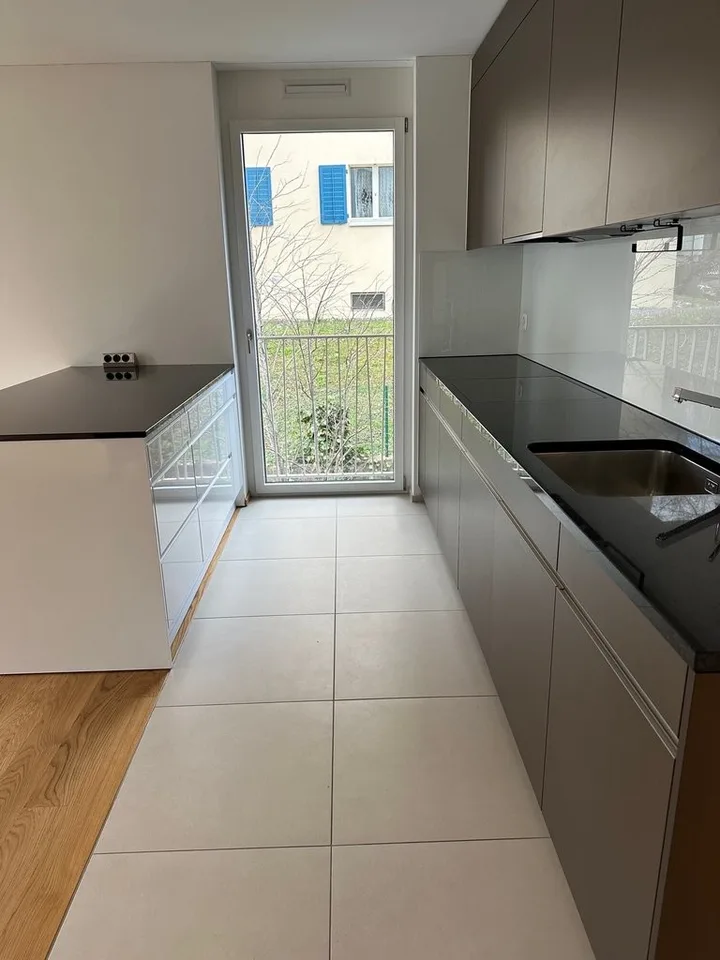 Modern living in Wollishofen