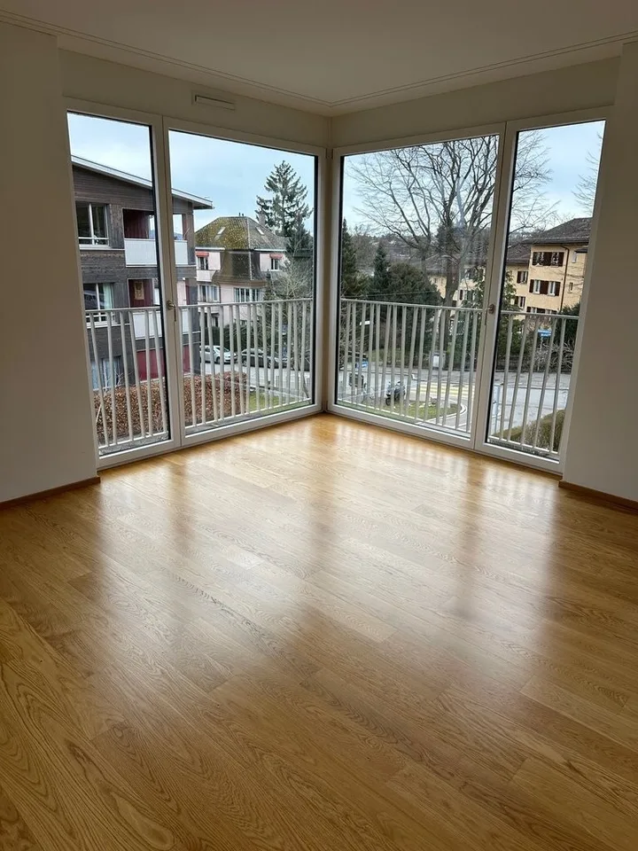 Modern living in Wollishofen