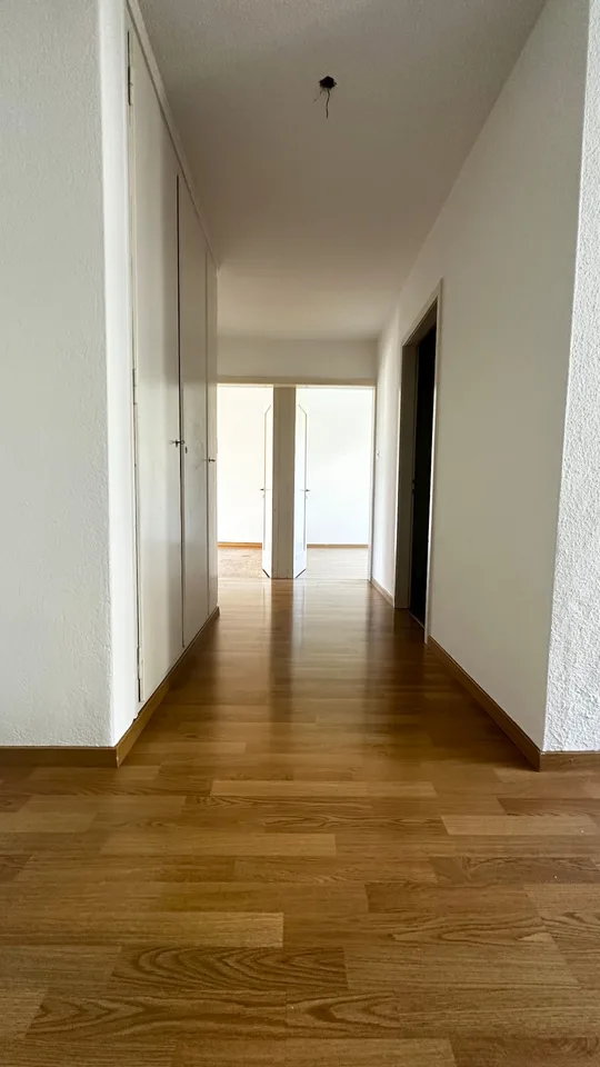 3.5 Zimmer-Wohnung in Wallisellen zu vermieten