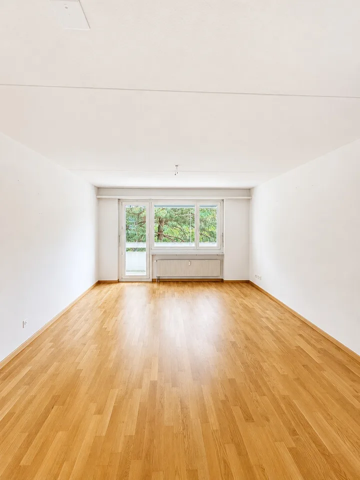 Helle 1-Zimmer-Wohnung in Zürich Seebach  befristet bis (30.04.2027)
