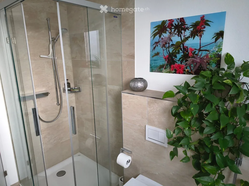 Appartement attractif de 3,5 pièces à Kastanienbaum – Sous-locataire recherché à partir du 01.11.2026