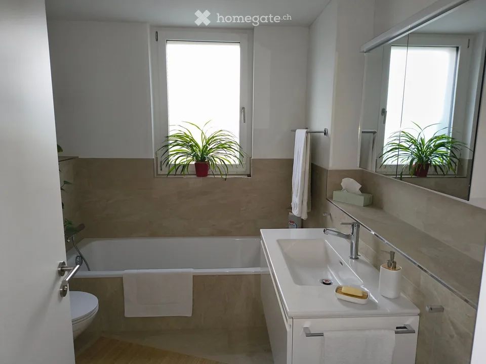 Appartement attractif de 3,5 pièces à Kastanienbaum – Sous-locataire recherché à partir du 01.11.2026