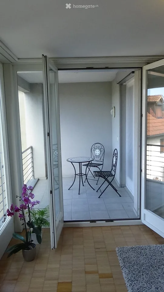 Incantevole grande appartamento 2.5 locali, 72m2, con balcone e bella vista nel centro. Trasporto pubblico: SBB 4 minuti.