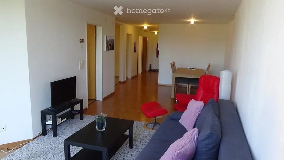 Incantevole grande appartamento 2.5 locali, 72m2, con balcone e bella vista nel centro. Trasporto pubblico: SBB 4 minuti.