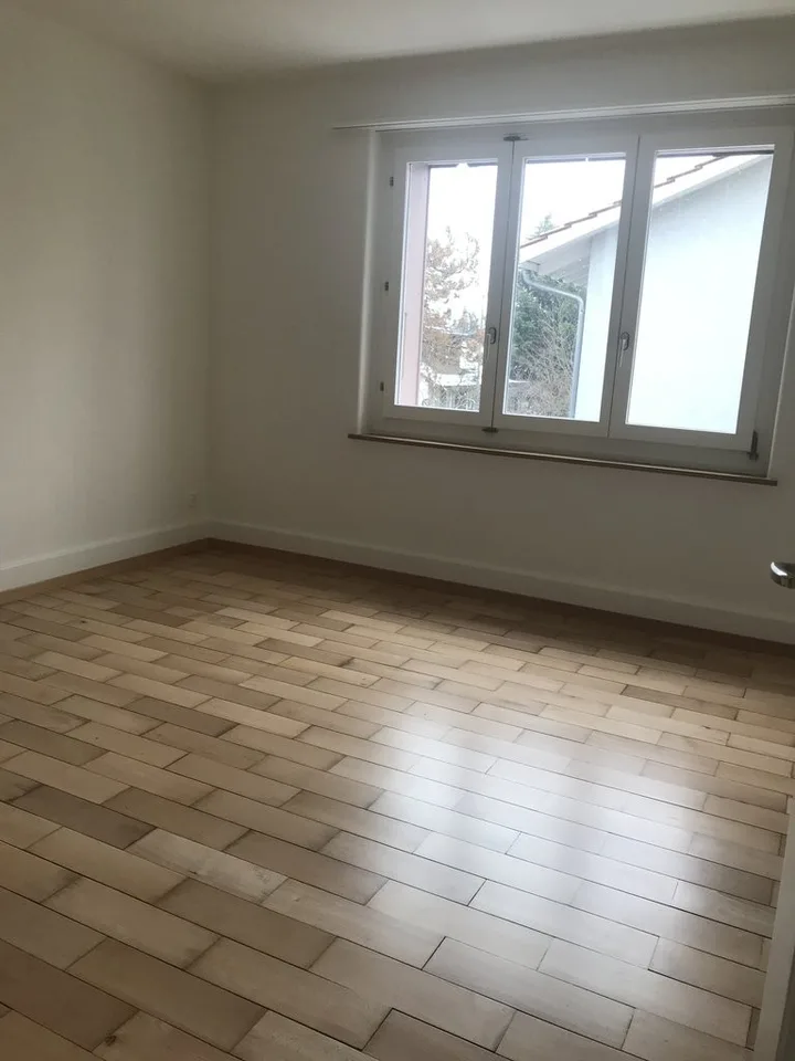 Practical 2-room apartment in the Hohmad district