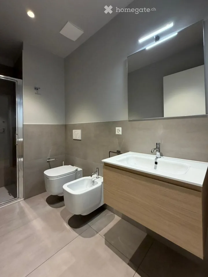 3-room apartment, furnished, with terrace - Lugano