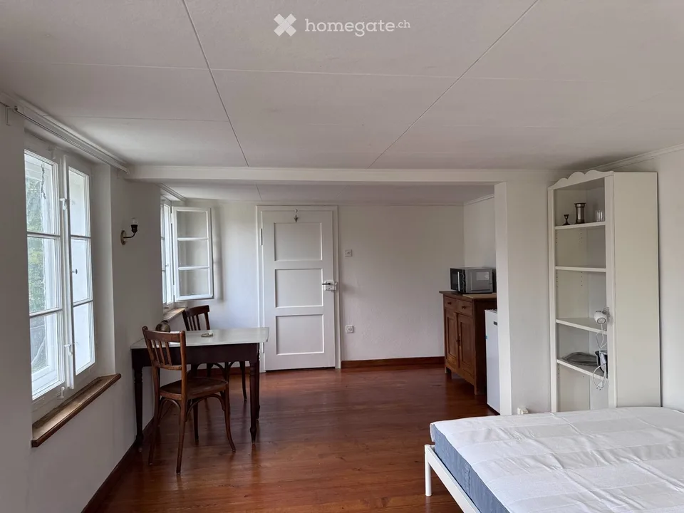 Möbliertes Zimmer (21 m²) in charmantem Altbau zu vermieten