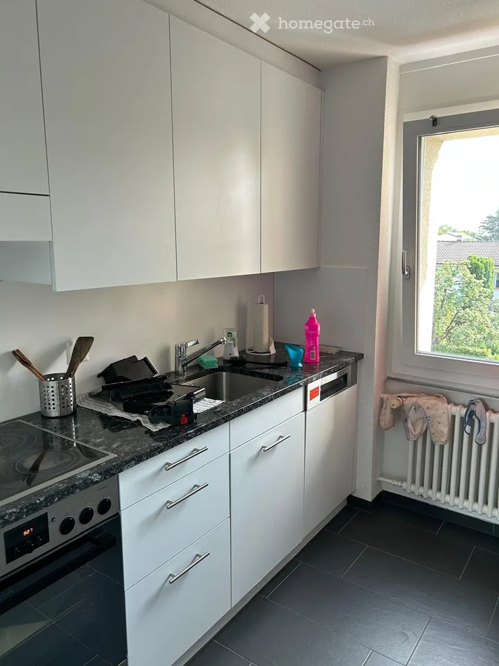 Spacious apartment in Köniz