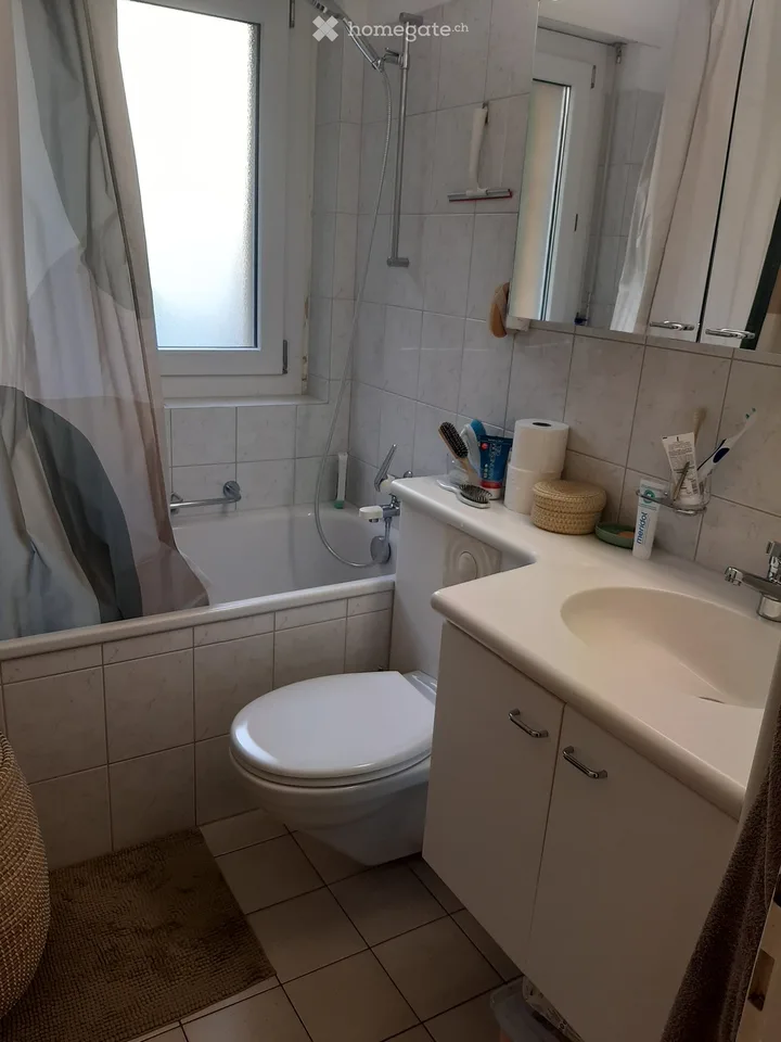 Apartment in Spreitenbach