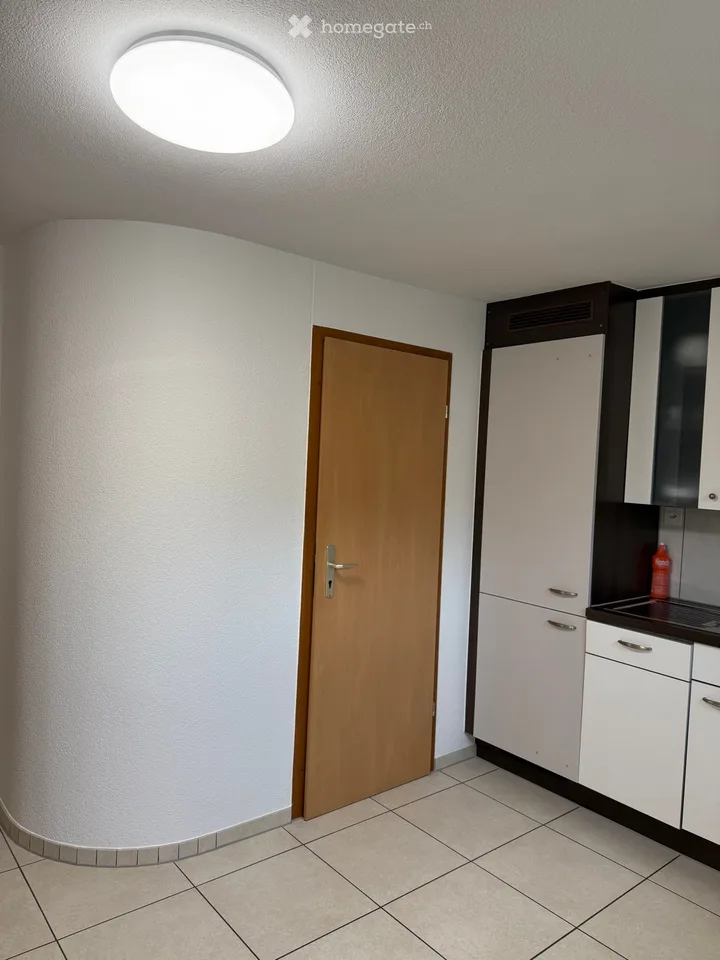 1.5-Room Basement Apartment in Lucerne