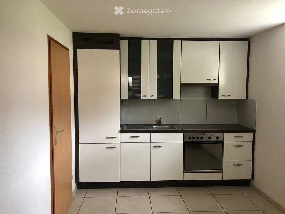 1.5-Zimmer-Tiefparterrewohnung in Luzern