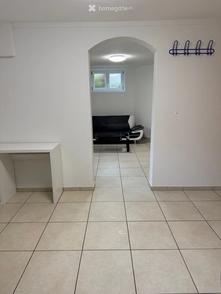 1.5-Room Basement Apartment in Lucerne