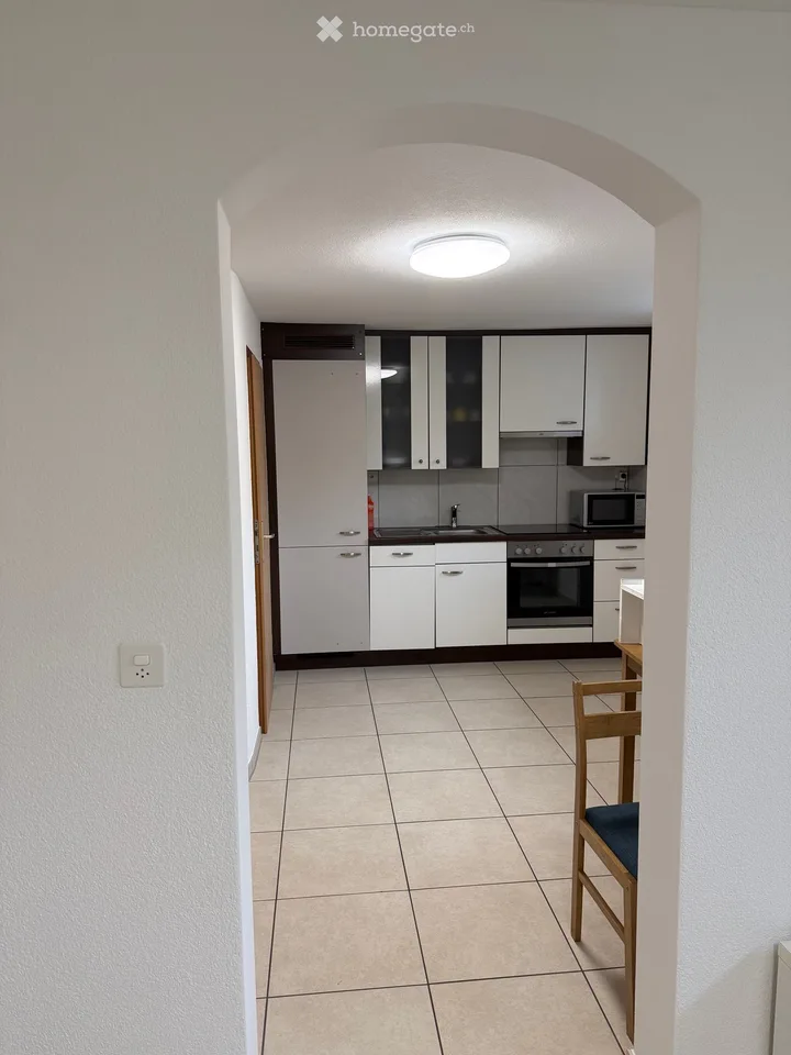 1.5-Room Basement Apartment in Lucerne