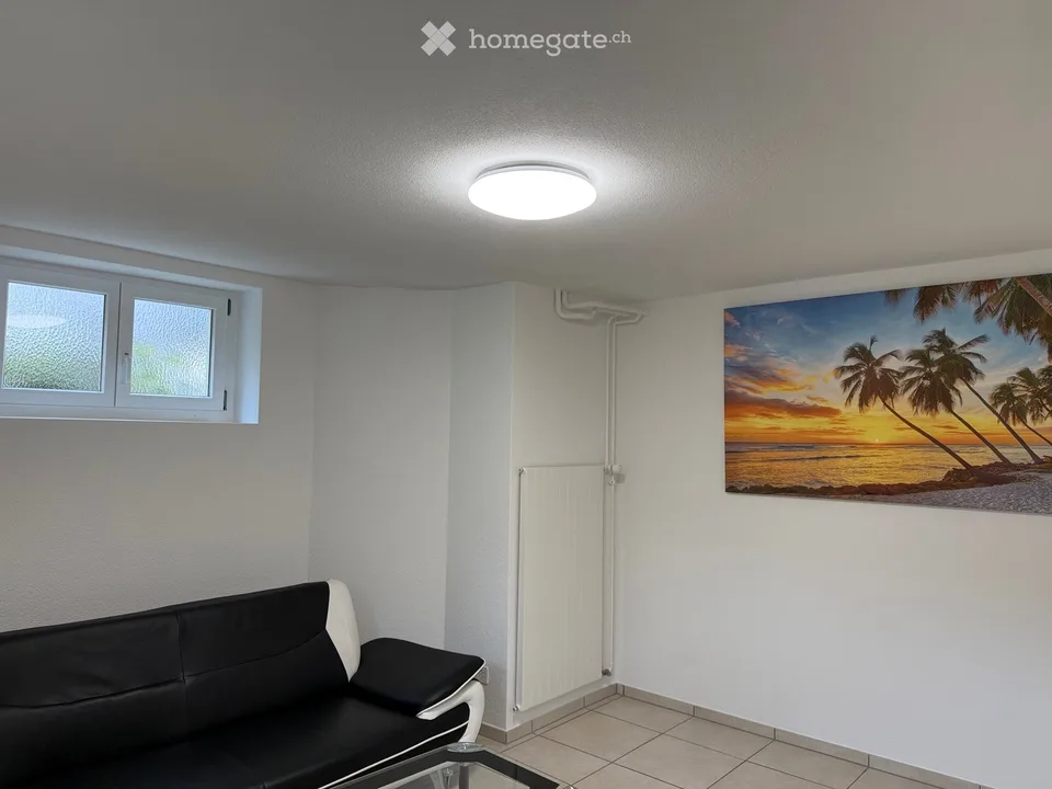 1.5-Room Basement Apartment in Lucerne