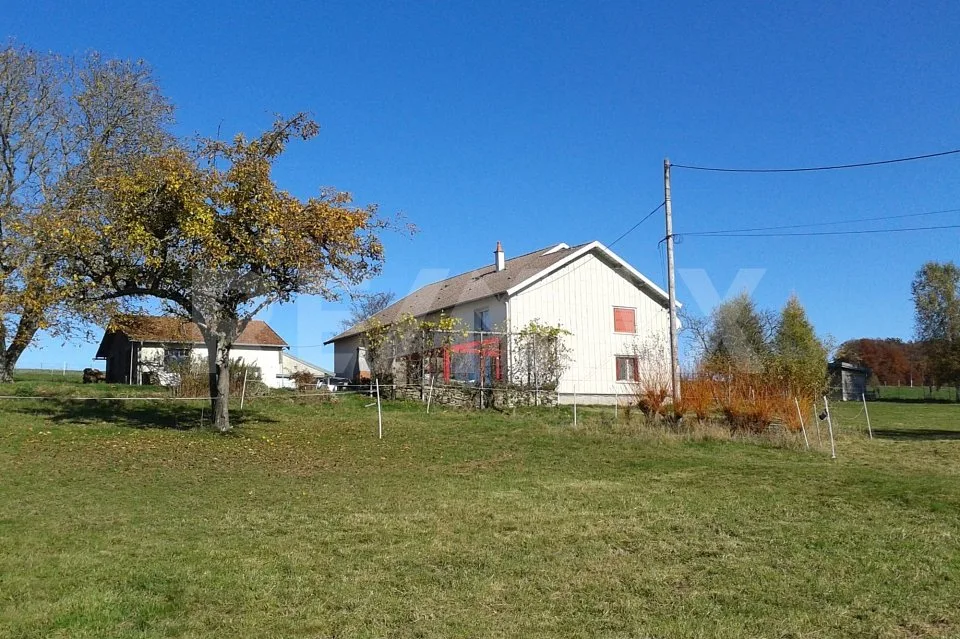 Ferme, exploitation biologique, 130 km de Bâle, qualité de vie parfaite, F-88370 Bellefontaine